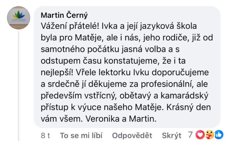 Screenshot recenze kurzu angličtiny TOP English – Martin Černý